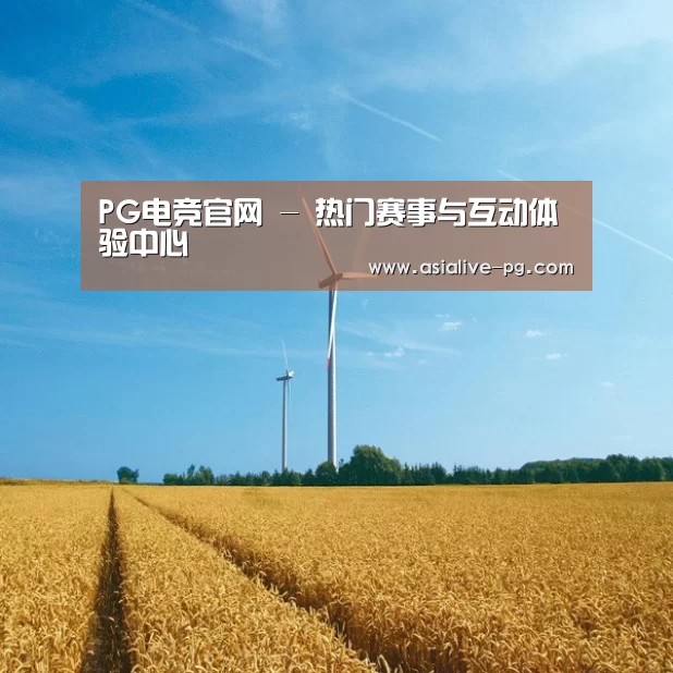 风能