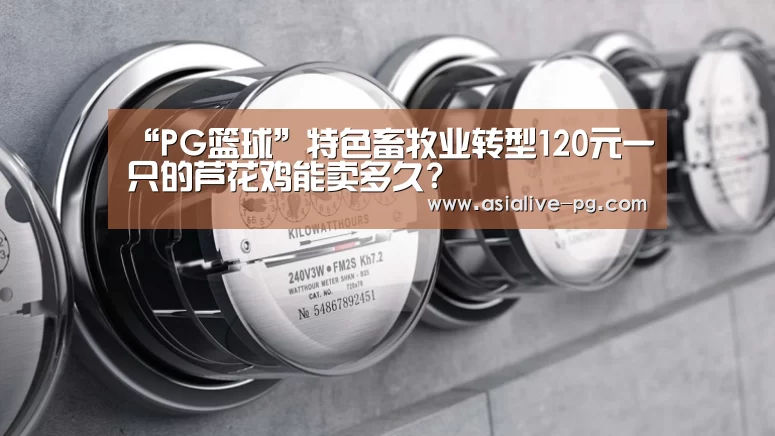 “PG篮球”特色畜牧业转型120元一只的芦花鸡能卖多久?(图1) PG篮球