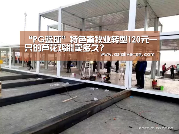 “PG篮球”特色畜牧业转型120元一只的芦花鸡能卖多久?(图3) PG滚球