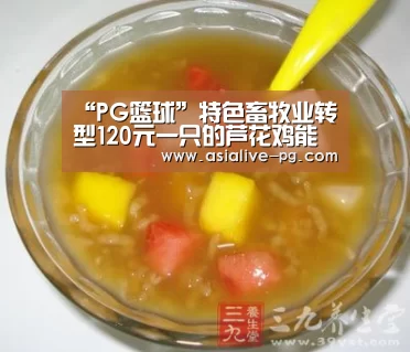 “PG篮球”特色畜牧业转型120元一只的芦花鸡能卖多久?(图2) PG电竞