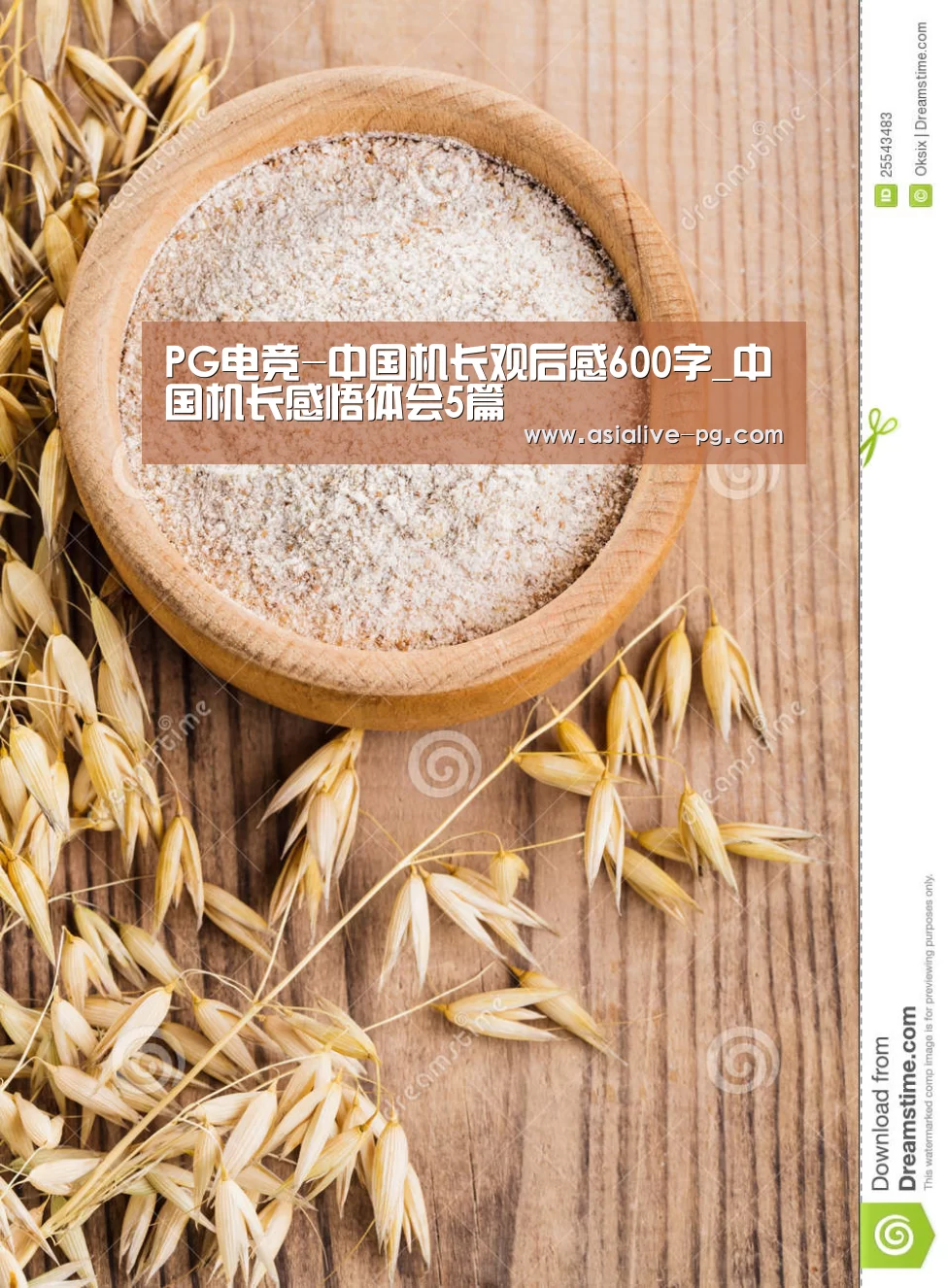 PG滚球