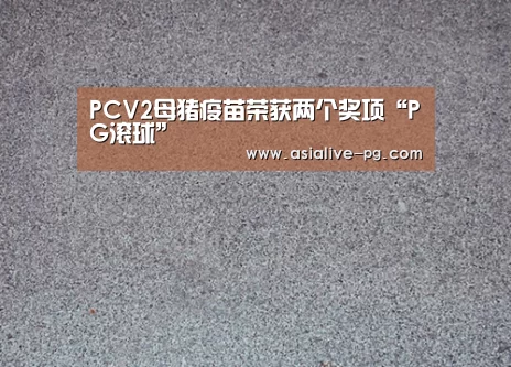 PCV2母猪疫苗荣获两个奖项“PG滚球”(图1) PG篮球