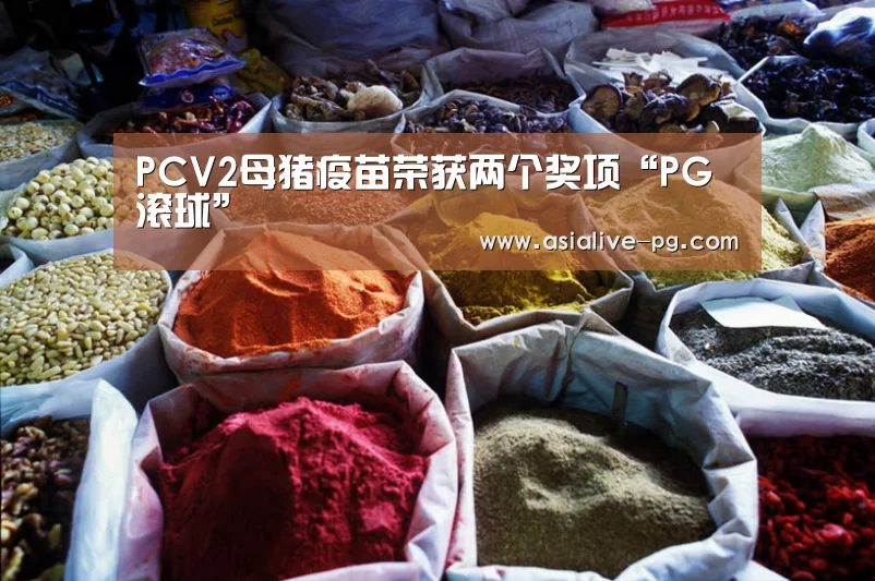 PCV2母猪疫苗荣获两个奖项“PG滚球”(图2) PG滚球