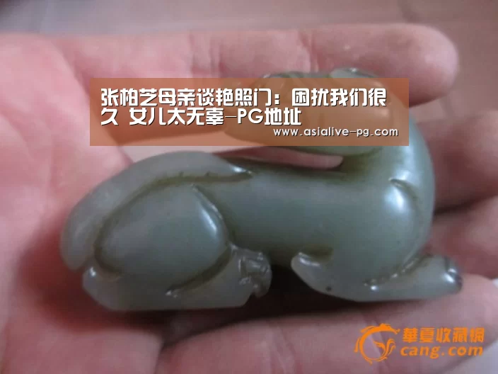张柏芝母亲谈艳照门:困扰我们很久 女儿太无辜-PG地址(图2) PG篮球