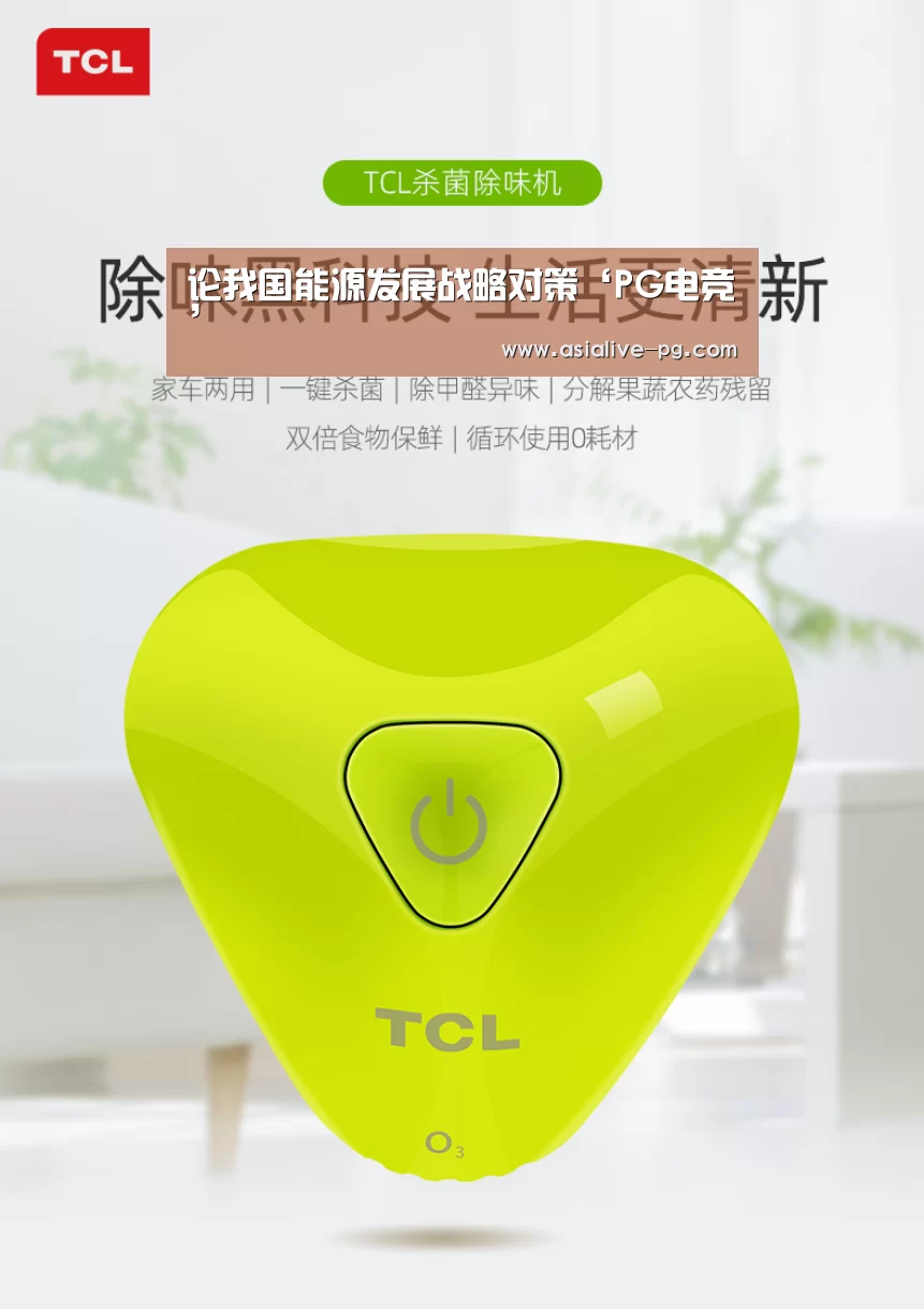 论我国能源发展战略对策‘PG电竞’(图1) PG电竞