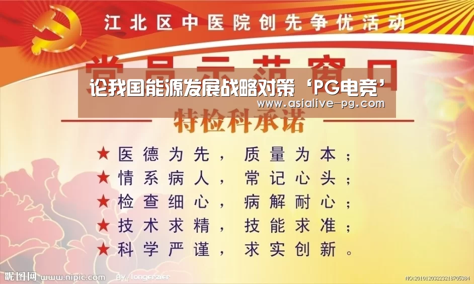 论我国能源发展战略对策‘PG电竞’(图2) PG地址