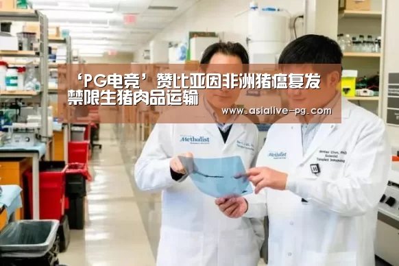 ‘PG电竞’赞比亚因非洲猪瘟复发 禁限生猪肉品运输(图2) PG滚球