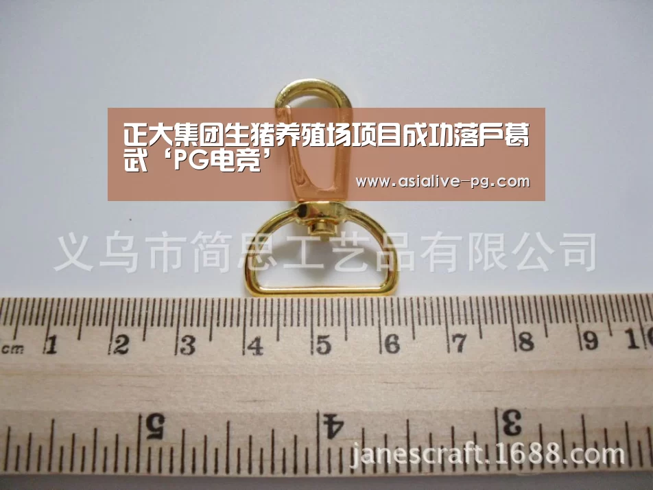 正大集团生猪养殖场项目成功落户葛武‘PG电竞’(图1) PG篮球