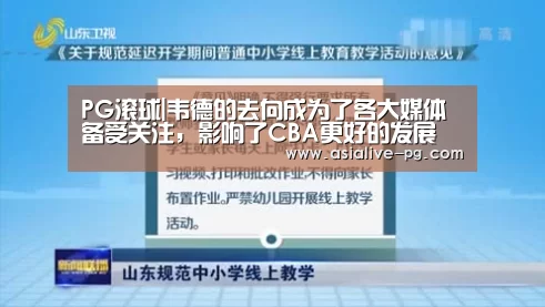 PG篮球