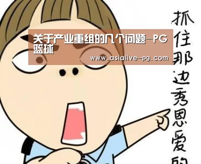 关于产业重组的几个问题-PG篮球(图1) PG地址