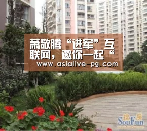萧敬腾“进军”互联网,邀你一起“脱秋裤,打篮球”!【PG电竞】(图1) PG滚球