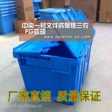 中央一号文件或聚焦三农_PG篮球(图2) PG篮球