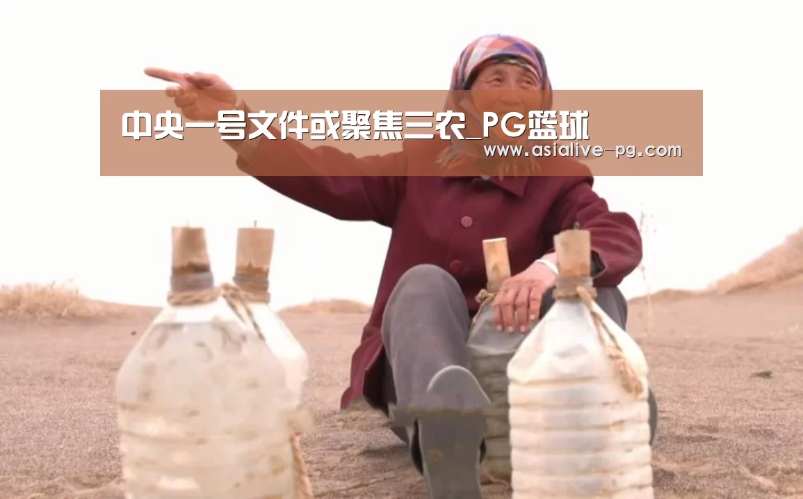 中央一号文件或聚焦三农_PG篮球(图1) PG地址