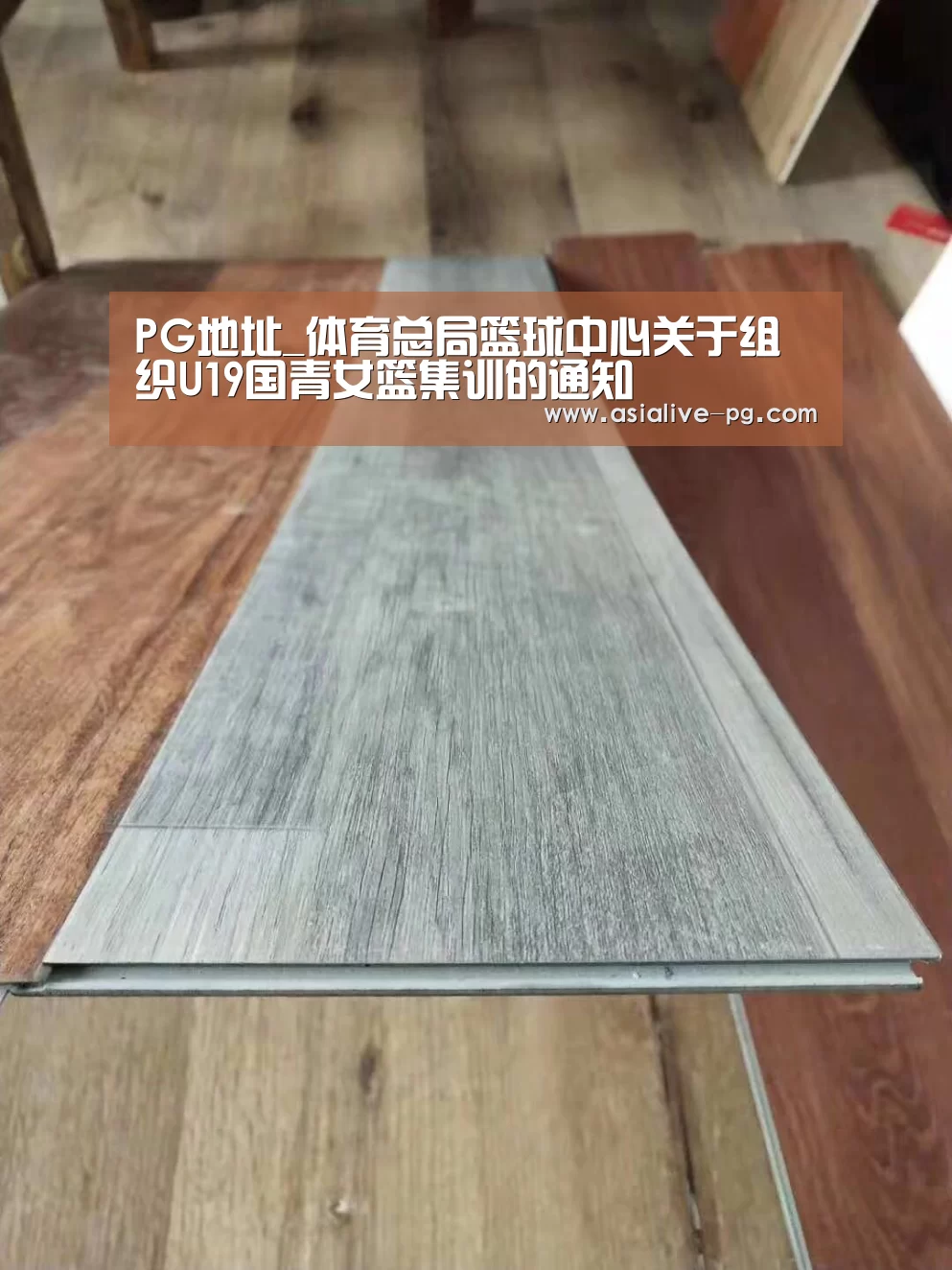 PG地址_体育总局篮球中心关于组织U19国青女篮集训的通知(图2) PG电竞