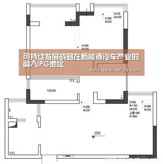 可持续发展战略在新能源汽车产业的融入|PG地址(图2) PG篮球