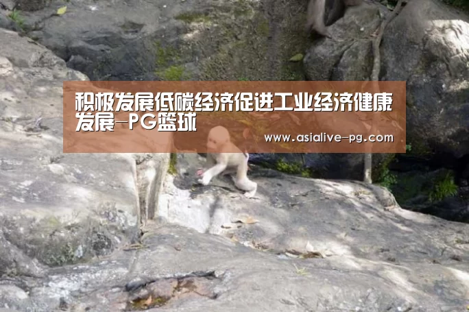 积极发展低碳经济促进工业经济健康发展-PG篮球(图2) PG篮球