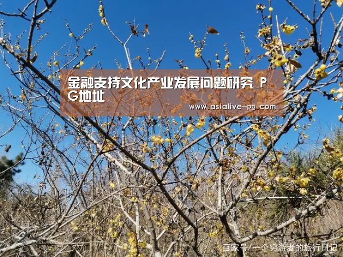 金融支持文化产业发展问题研究_PG地址(图2) PG篮球