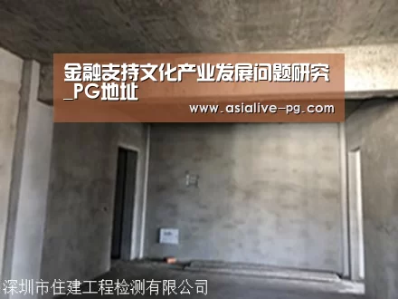 金融支持文化产业发展问题研究_PG地址(图1) PG地址