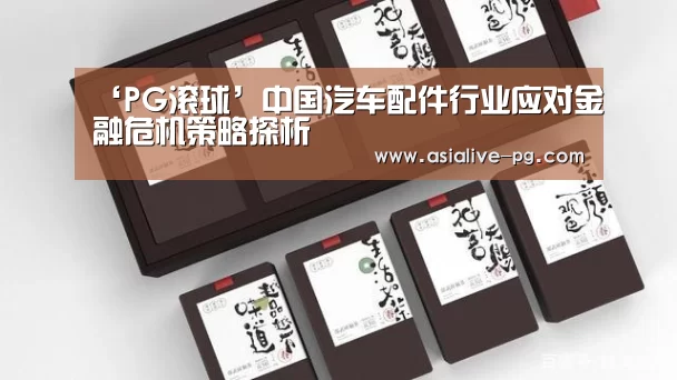 ‘PG滚球’中国汽车配件行业应对金融危机策略探析(图1) PG篮球