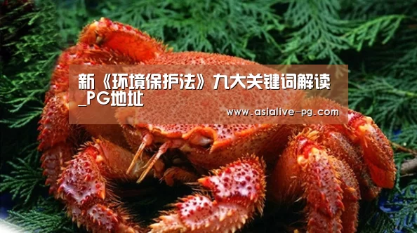 新《环境保护法》九大关键词解读_PG地址(图2) PG篮球