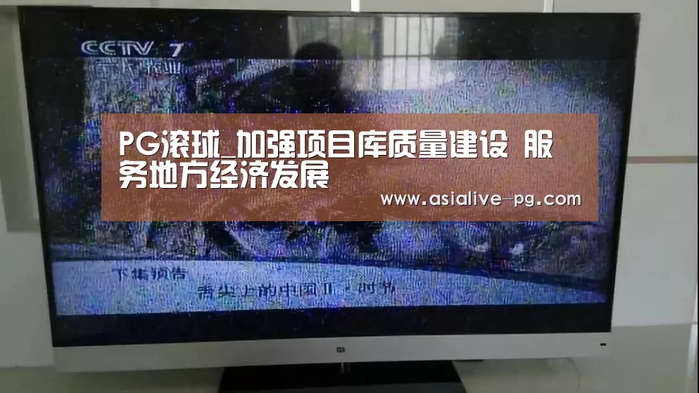PG滚球_加强项目库质量建设 服务地方经济发展(图2) PG电竞