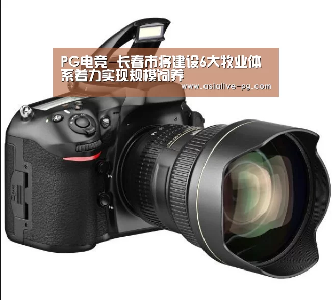 PG电竞-长春市将建设6大牧业体系着力实现规模饲养(图2) PG电竞