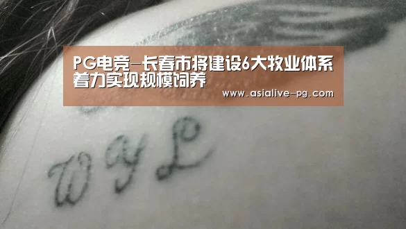PG电竞-长春市将建设6大牧业体系着力实现规模饲养(图1) PG滚球