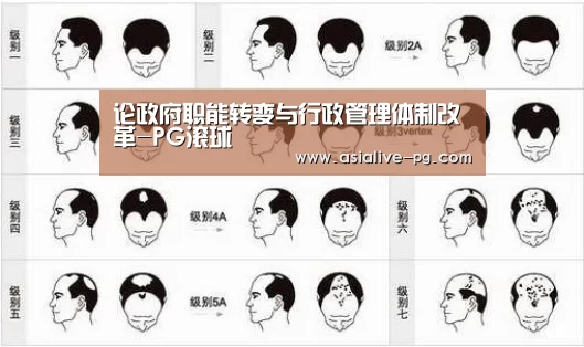 论政府职能转变与行政管理体制改革-PG滚球(图1) PG滚球