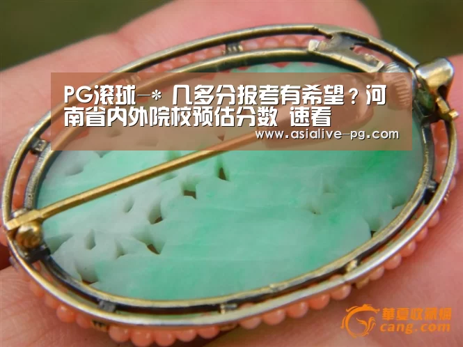 PG滚球-*
几多分报考有希望?河南省内外院校预估分数 速看(图3) PG地址