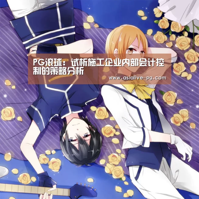 PG滚球:试析施工企业内部会计控制的策略分析(图1) PG篮球
