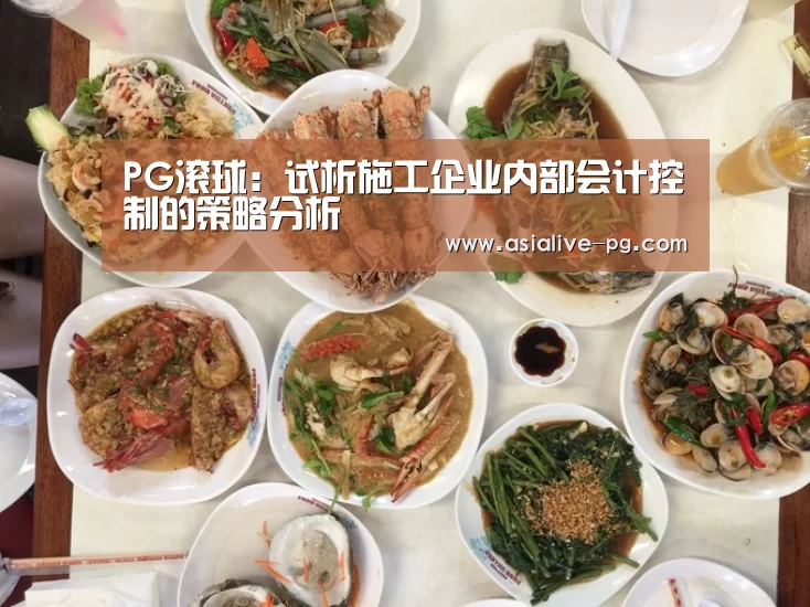 PG滚球:试析施工企业内部会计控制的策略分析(图2) PG滚球