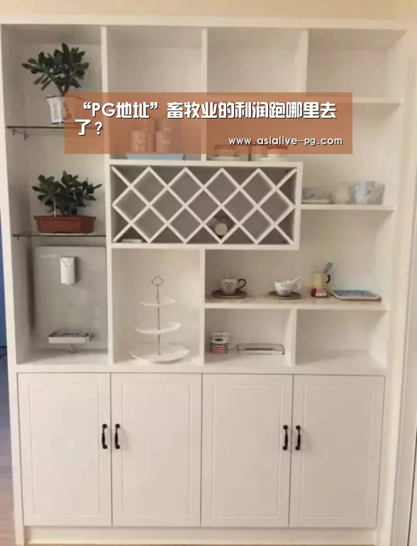 PG滚球